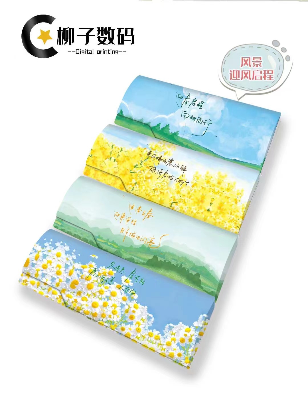 바람이 부는 풍경