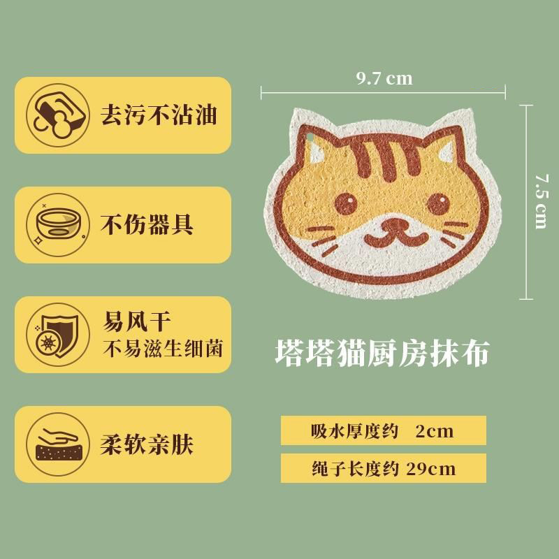 홍성싱타타 고양이