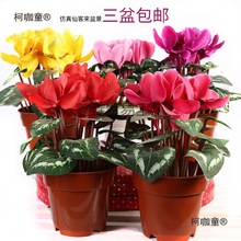 ɿ́辰ٻc̨͏dҕb҃軨[OҔ[̫