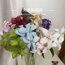 ���滨�����m3d������Y�Ƶ�Y�ÔzӰ�ٻ���̨�������b����l