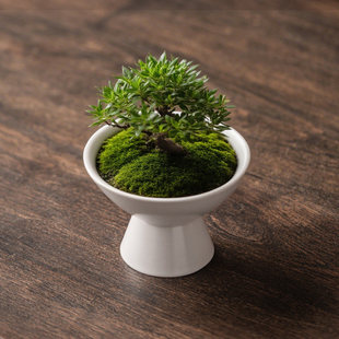 ̦�\�����մ����бP��ʽ����[��ˮ������̦�\��ˮ����������