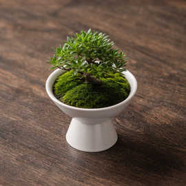 苔藓球花盆陶瓷盆托盘中式桌面摆件水培米竹苔藓球水培器皿盆托