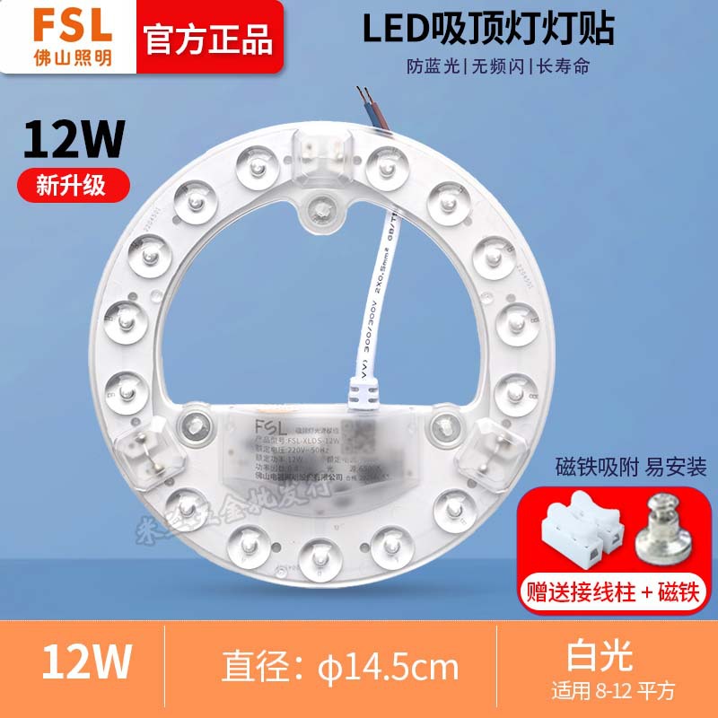 Foshan 12W Fuente de luz Blanca