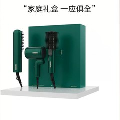 Personal care appliance hotel hair dryer mini foldable hair dryer Nemei straight and curly hair beauty gift