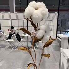 ľ�޻��ɻ��������b�����}�Q���b�c�Y���r���Ҿ��b��Ĕz����