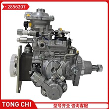 2856207&nbsp; VE�� �������Ͱl�әCȼ��ϵ�y���ȼ�ͱ�