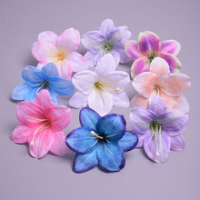 �羳�F؛����ٺϻ��l�A���������^��ֹ����h�l�diy���b����