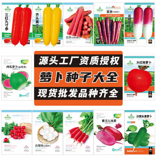 ���l�}���N�Ӵ�ȫ�＾ɳ�C���Ǵ��P���ļ�����ˮ���_�����}���N��
