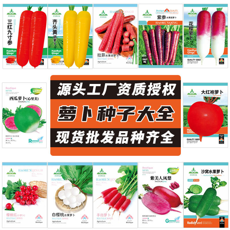 Wholesale Radish Seeds Collection Autum Shawo Rock Sugar Crisp Pineapple All Year Round Cherry Fruit Radish Carrot Seeds