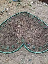 草石隔离带庭院草皮树绿化塑料隔离条加厚花园草坪黑色造景分隔带