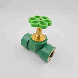 塑料模;PPR管;球阀