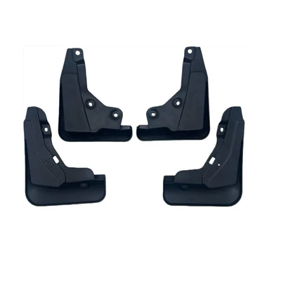 Model Foreign Trade Cross-Border – Mudguard