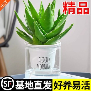 �J�C�����ļ����B�����҃ȃ����՚����ȩֲ���k���������ƶ���