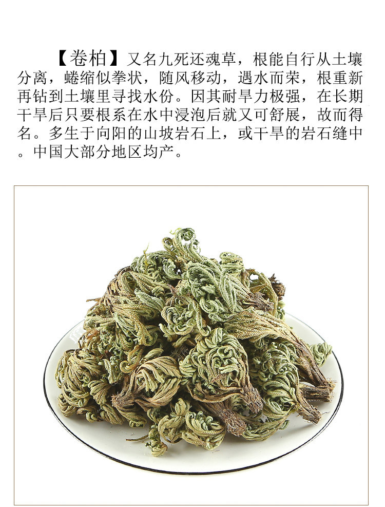 Dried Selaginella Juan Bai 250g Resurrection Herb Whole Plant Traditional Chinese Herbal Tea Material overview