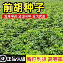 ǰ���N���²�ș���Ѱ׻��e���u�_ǰ����ǰ��ɽ�������ļ��ɲ����]