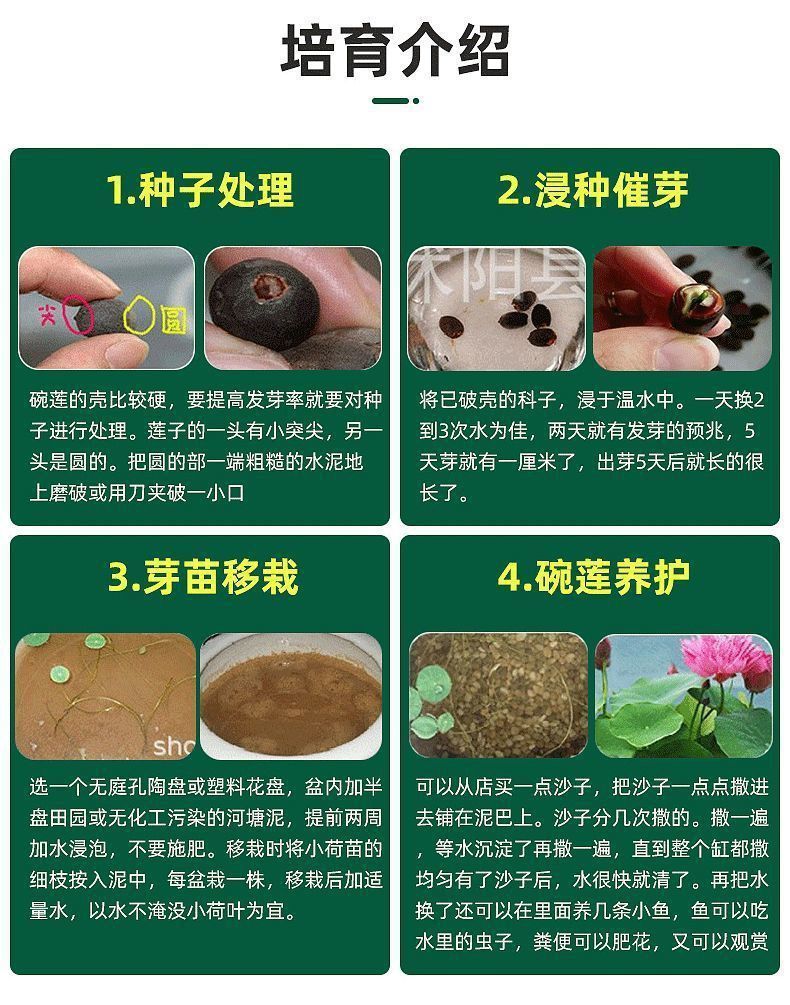 130391ac-c553-47d6-9720-29ff5a257442.jpe