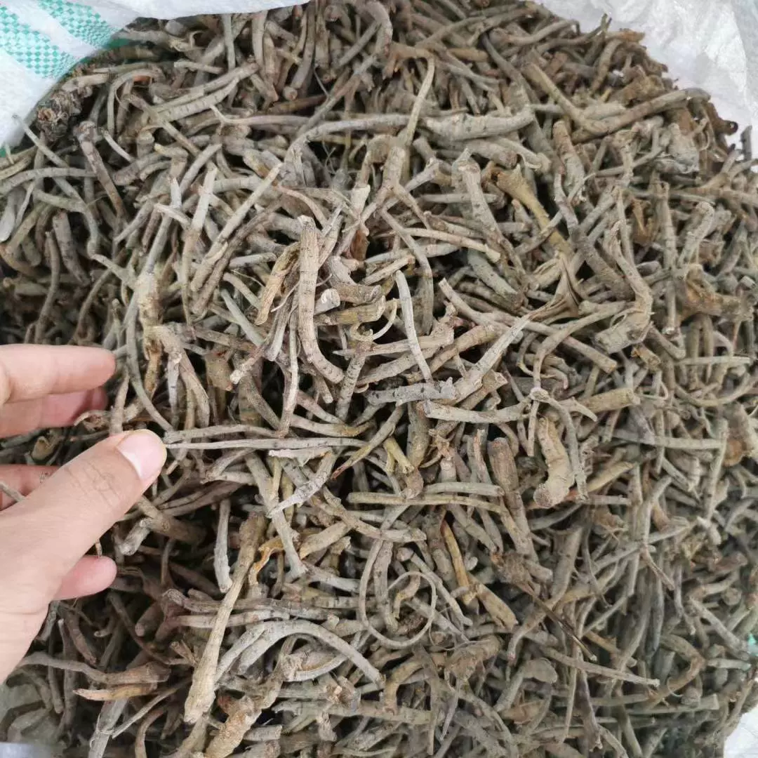 Юньнань Вэньшань нотоженьшень порошковый материал поле нотоженьшень грубый корень нотоженьшень волокнистый корень оптом