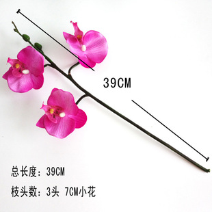 �ٻ����l���滨��������m3�^7cm��֧����Gֲ�҃��b���DIY��