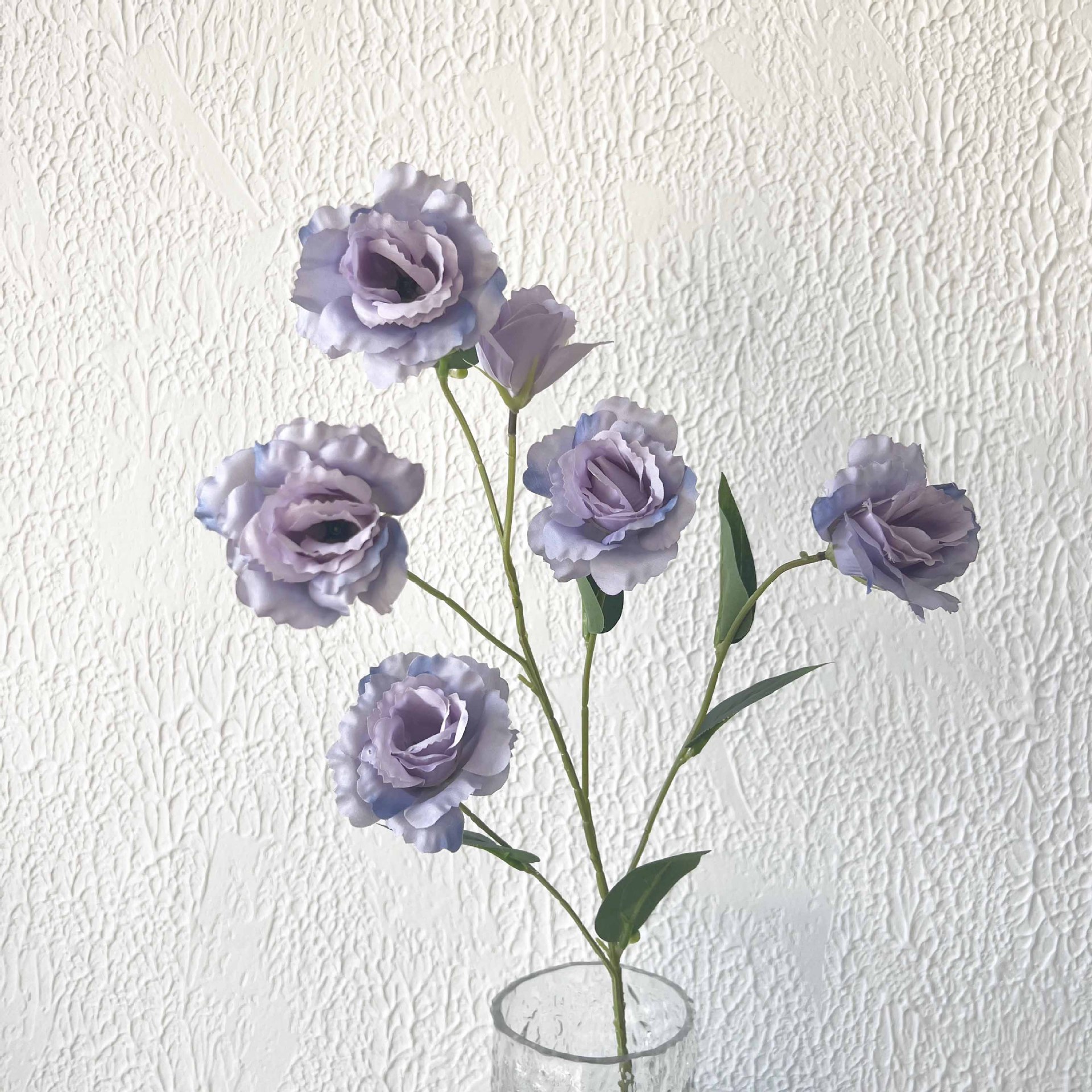 6 Platycodon grandiflorum púrpura