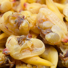 |͘ӸȥK|خa׻S͘Ӽʳ֮r