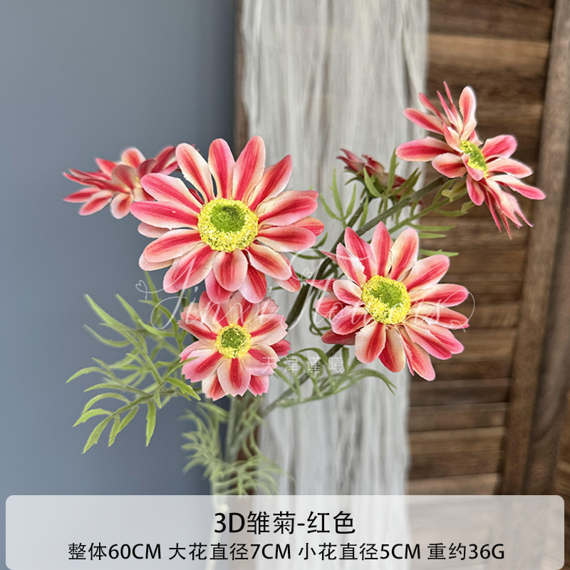 레드