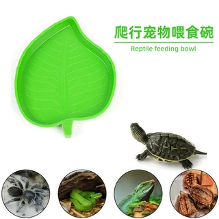叶子碗形状宠物干饭喝水两用碗绿色耐用宠物碗外出便携狗碗猫食盆