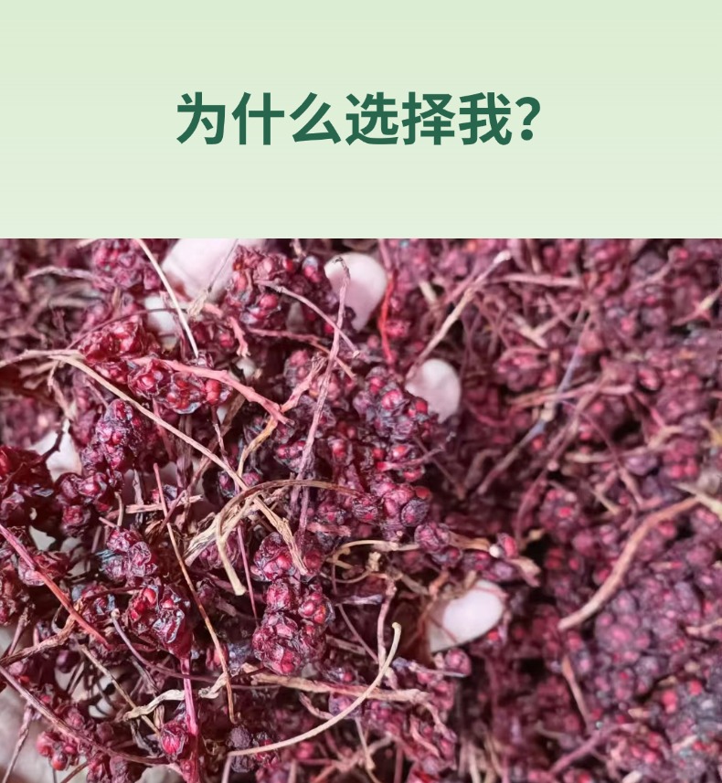 Dried Schisandra Berry Wu Wei Zi 500g Bagged Fresh Harvest for Tea and Wine Infusion key features
