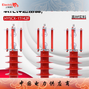 ���g϶��϶��· �����\������ HY5CX-17/42F 10KV �߉�������