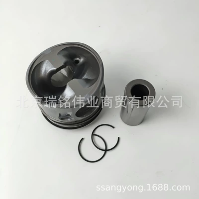 retaining ring, for diesel RODIUS – Piston, piston ring, piston pin