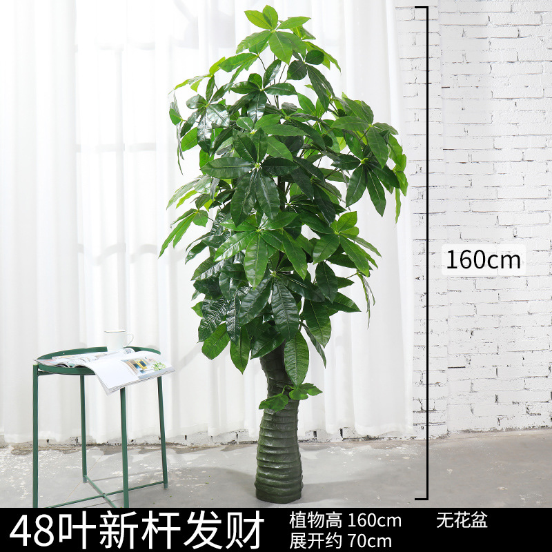 Árbol de la fortuna de 48 hojas