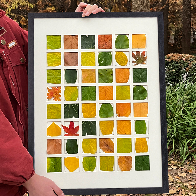Fall Leaf Photo Frame 16-Grid Leaf Specimen Collection Handmade DIY Autumn Picking 24-Grid Plant Specimen Decoration