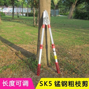 �S�ҹ����@�ִ�֦�� ��s�������������֦�� SK5���֦��