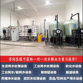 反渗透纯水设备工业RO纯水机玻璃厂不锈钢单级反渗透EDI净水设备