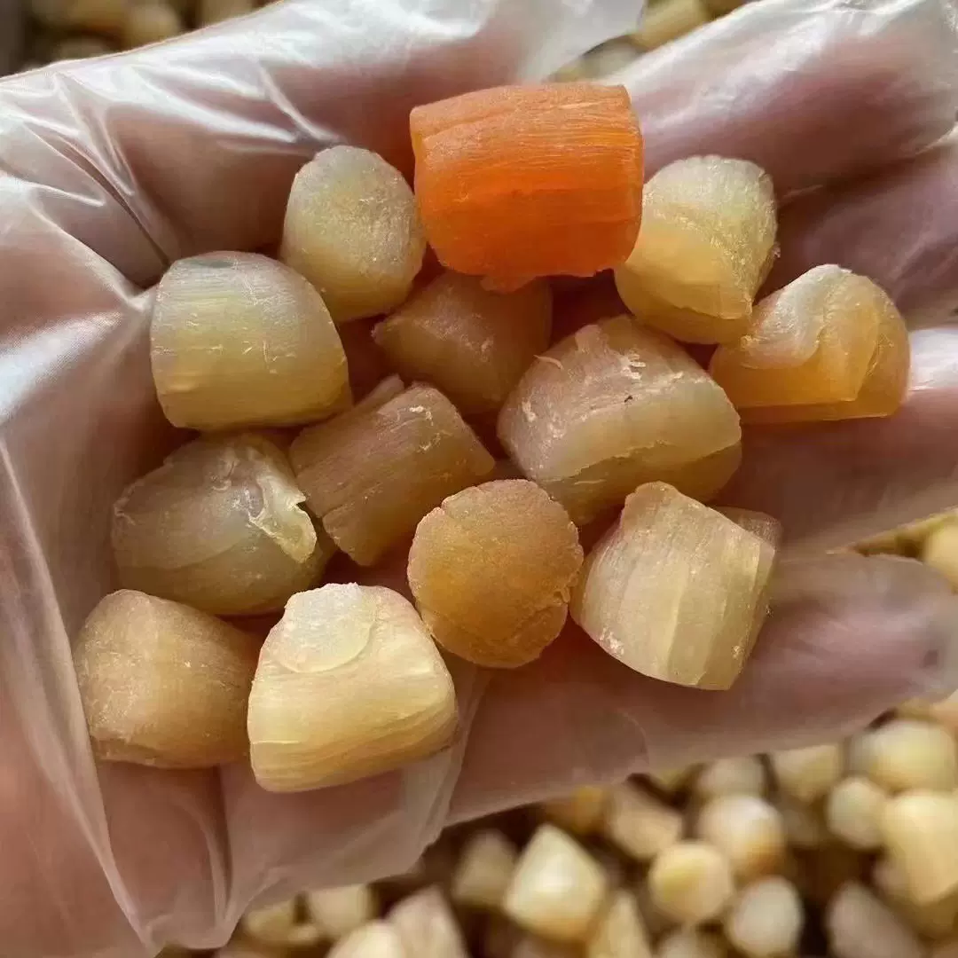 福建东山岛  大干贝 瑶柱干 扇贝肉 海鲜水产干货 食用农产品