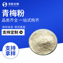 青梅粉食品级全水溶鲜果提取现货批发烘焙饮料 现货包邮 量大从优