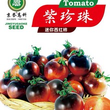 �����鷬�ѷN���ļ��̨���Ժ����r�ҷNֲ�t�}Ů���N��