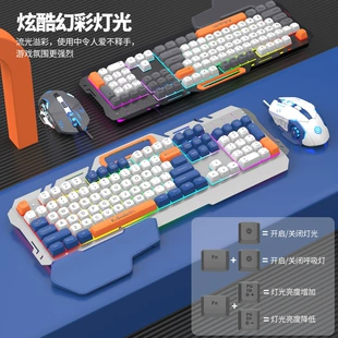 Product Media