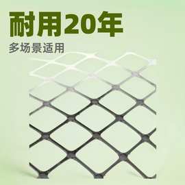 围栏网养殖菜园栅栏户外拦鸡鸭鹅胶网鱼塘防护网养鸡养鸡围栏网