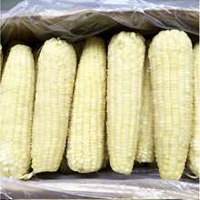 玉米棒糯玉米整箱东北速冻粘黏甜冷冻白大棒代发