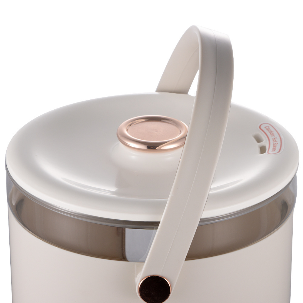 RAF Cross-Border European Standard Sterile Direct Split Multi-Function Constant Temperature Electric Kettle Intelligent_voghion.com