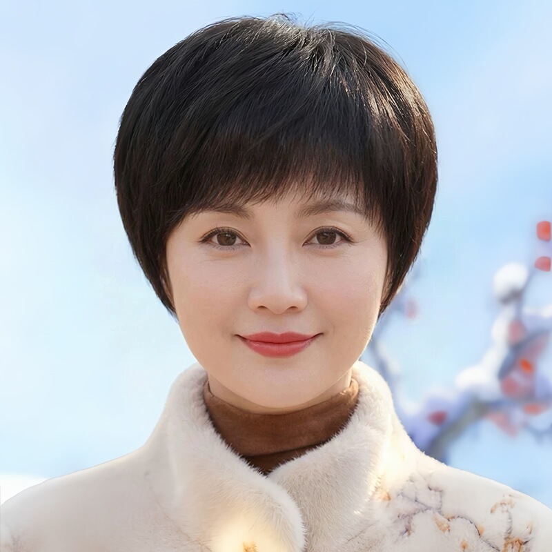 100% Real Human Hair Full Wig, Machine-Made Style for Middle-Aged and Elderly Mothers, Natural and Fluffy, Can Be Permed and Dyed, Short Hair for Women