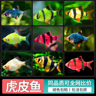 ��Ƥ�~���w�Ꭷ�^�p�~С���~���ֺ��B�ͻ�G��Ƥ��ˮ�~���g��Ƥ�~