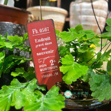 Fˇ[ĸFƬb@ˇs؛M28]