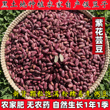 东北紫花芸豆500g红腰豆红芸豆大豆熬煮大碴子粥饭豆五谷杂粮粗粮