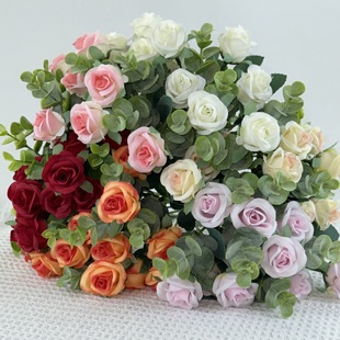 �羳�������滨�ٻ��ȼ���õ��С������@С���»�c�Ҿ��b���
