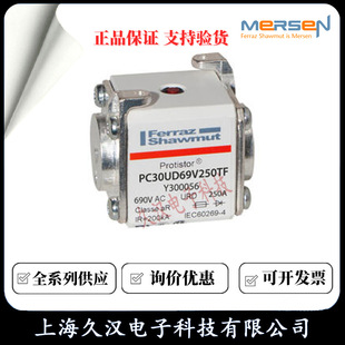 Roland fuse PC30UD69V250TF/Y300056 PC30UD69V315TF/Z300057