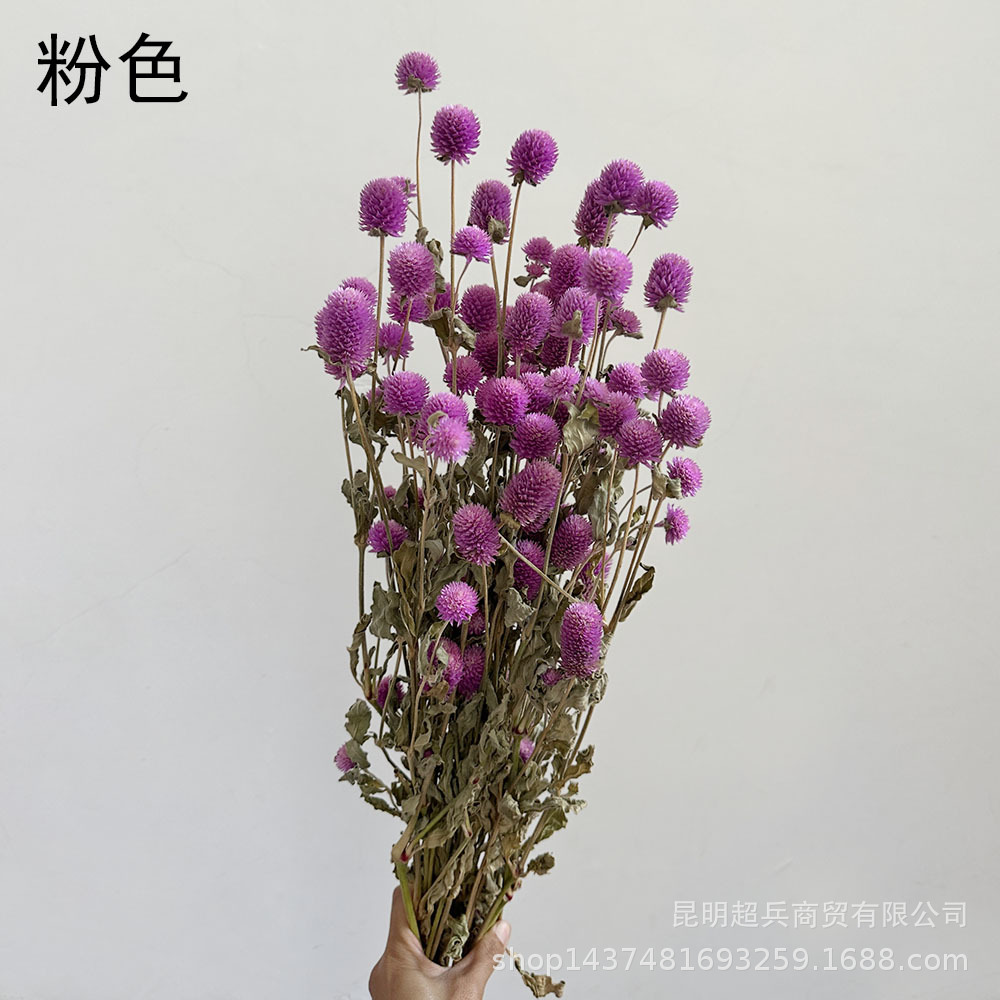 【干花千日红】可爱干花花头DIY小花束材料包摄影香薰滴胶花材