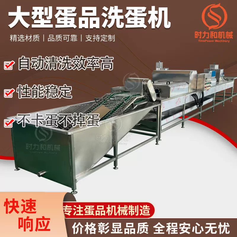 大型鸭蛋自动清洗机 养殖业畜牧业鸡蛋去泥清洗设备 禽蛋洗蛋机