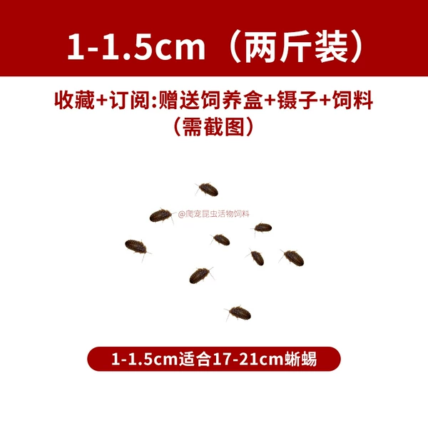 1–1,5 см