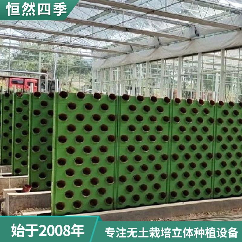 Fábrica al por mayor interior de doble cara pared de la planta de cultivo pared caja de plantación pared ecológica pared de la planta verde
